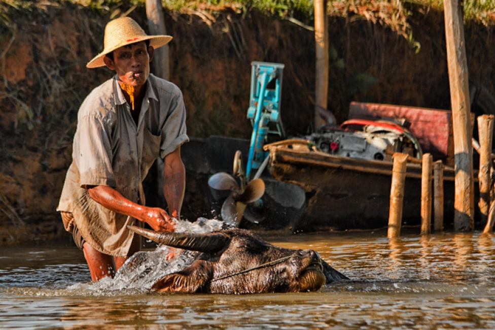 Imagen 42 de la galería de Myanmar